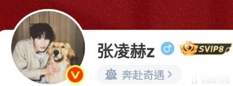 张凌赫状态改成奔赴奇遇 已经把自己的微博状态改成了奔赴奇遇，看起来张凌赫也很期待