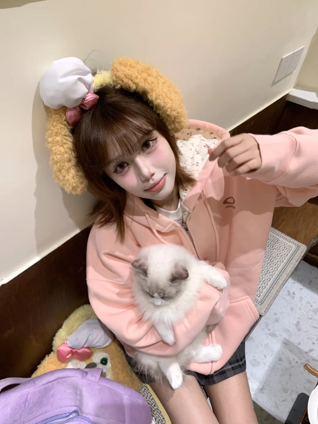 一坨猫