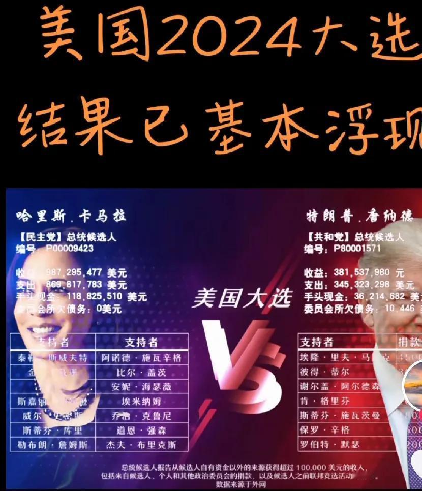 2024年美国大选关键“摇摆州”选票胶着，等待官方计票结果

美国2024年大选