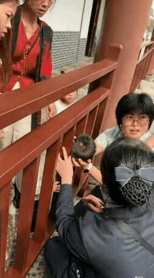 “这就是男女在智力上的区别！”男孩的头卡在栏杆里，四个女的在那研究了半天，还是没