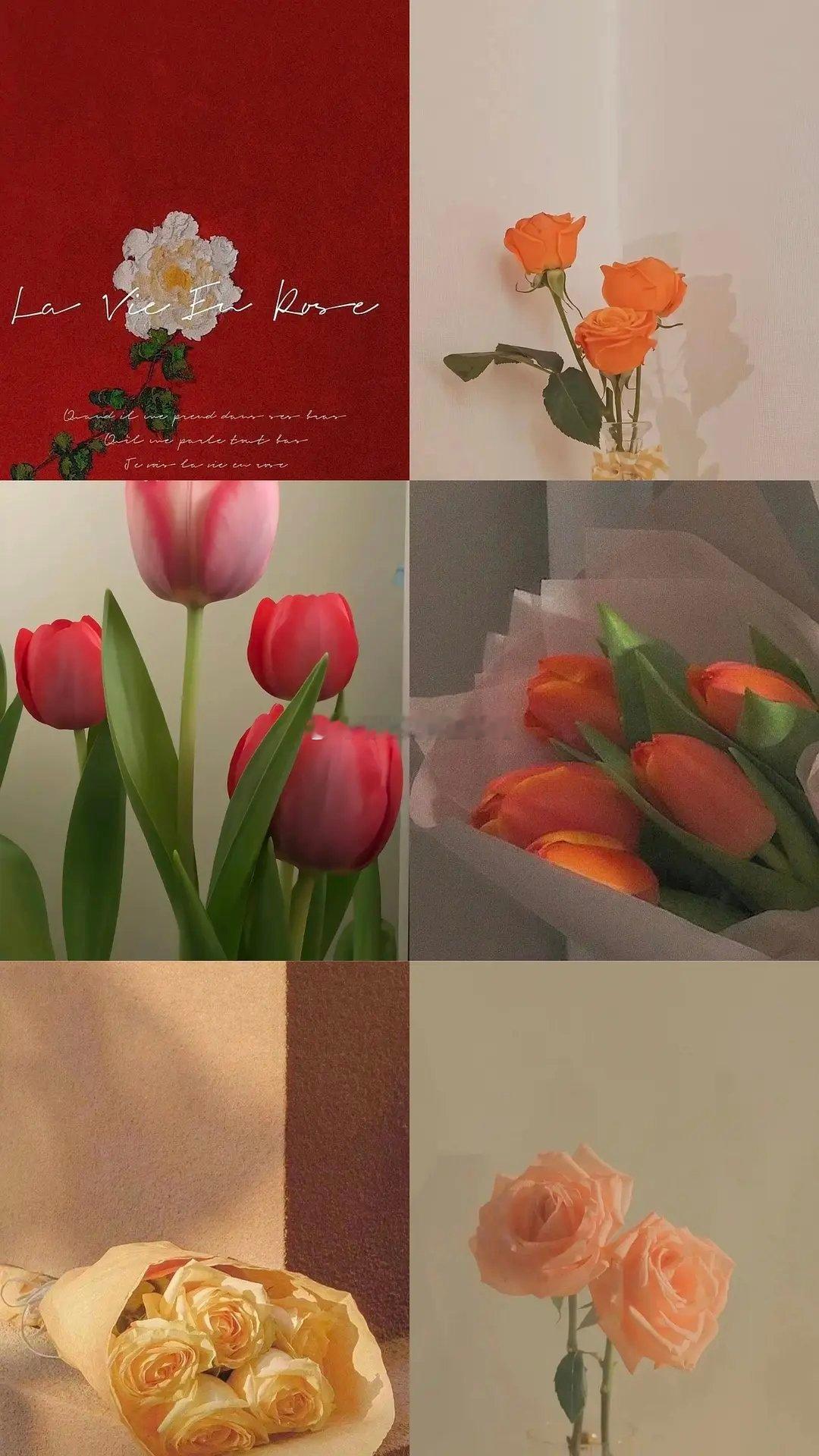 今日🈚投稿，大家早早早鸭～周末愉快