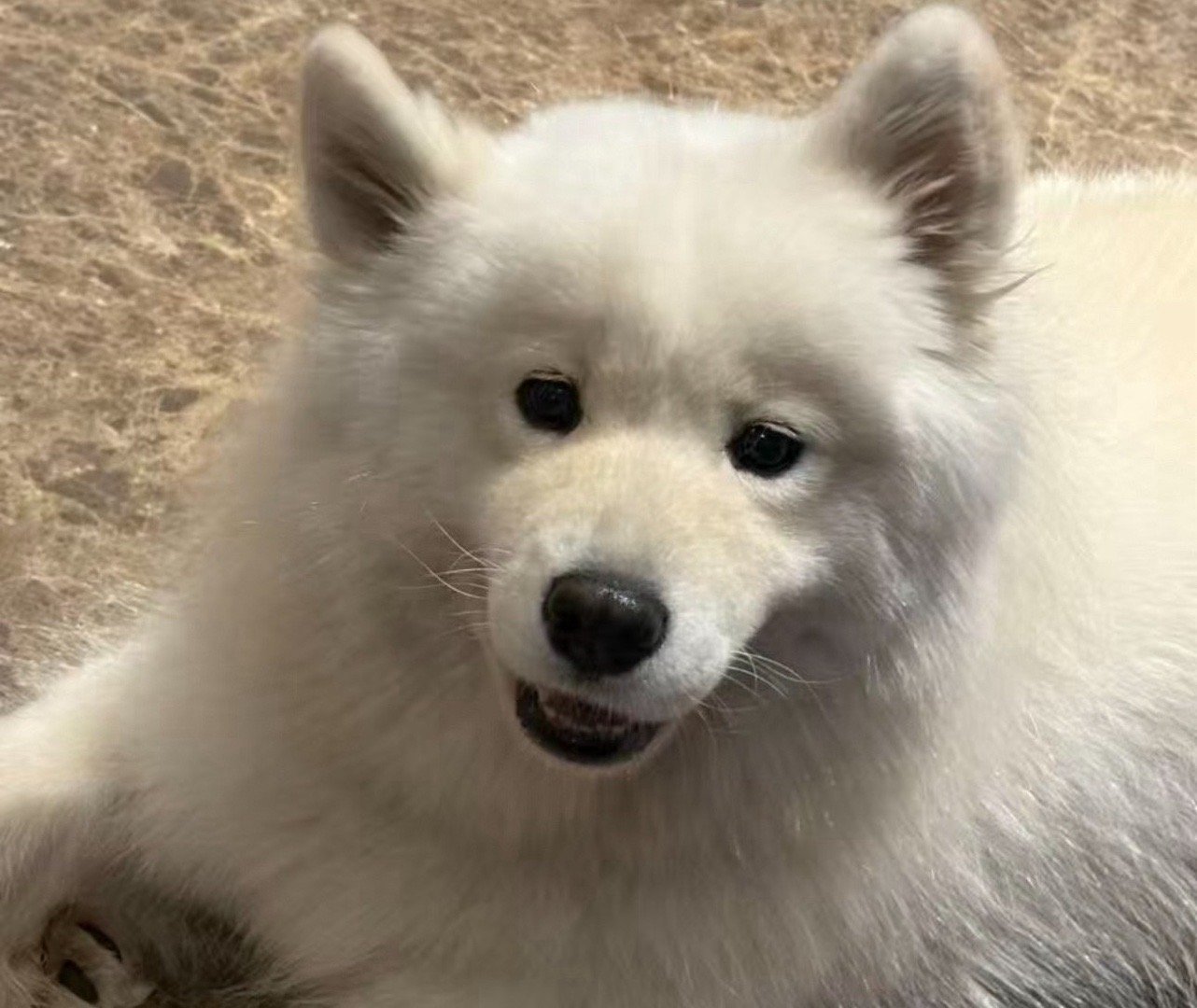 玩加夜话 召唤师们晚上好 这个周一怎么样[淡淡的]辛苦么 ​​​