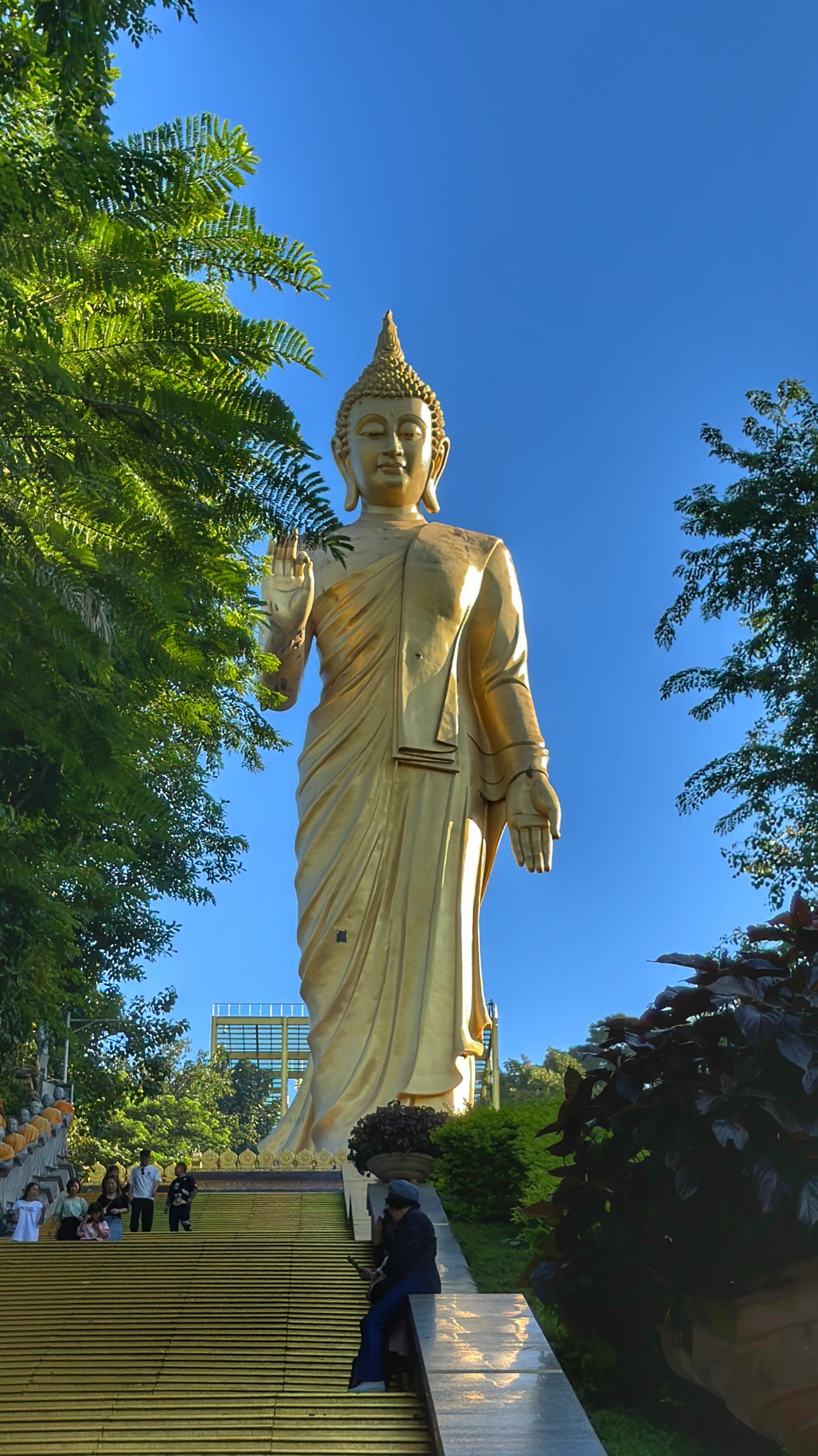 西双版纳扣留37名游客购买天价床垫的事情你们看了吗？西双版纳旅游吃天价烧烤的事情