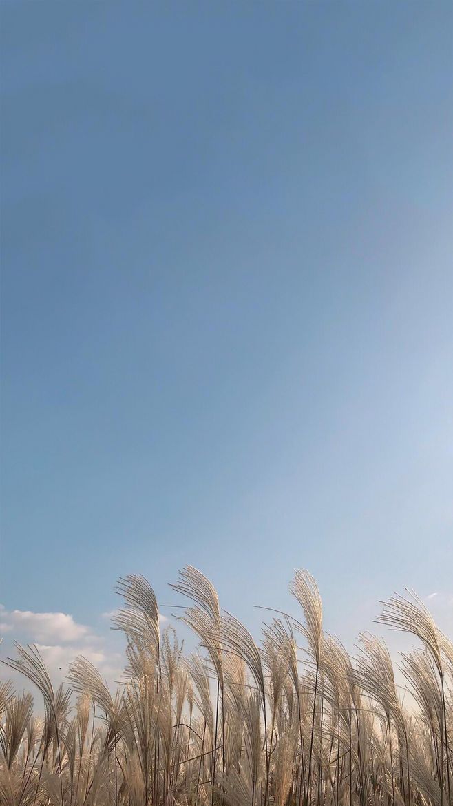 遍阅人情，始识疏狂之足贵；备尝世味，方知淡泊之为真。 ​​​