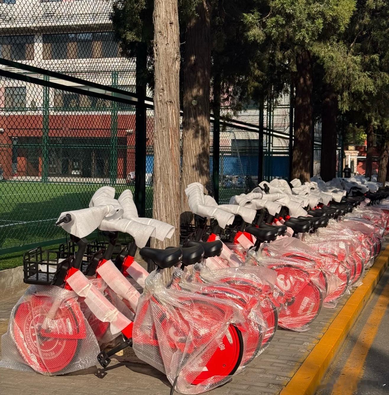 这么新的共享单车我怎么一次都没见过[允悲][允悲][允悲]  ​​​