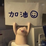 寻源热聊娱乐