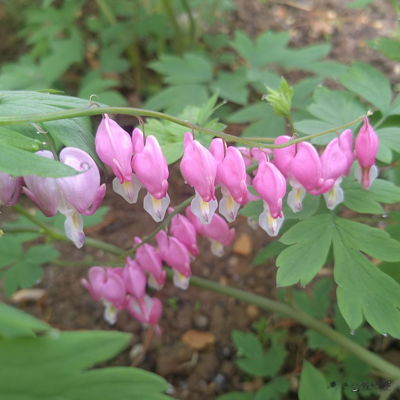 我感觉在单位里自己越来越“孤独”，就是那种可与之聊天、正常交流的人越来越少。
有