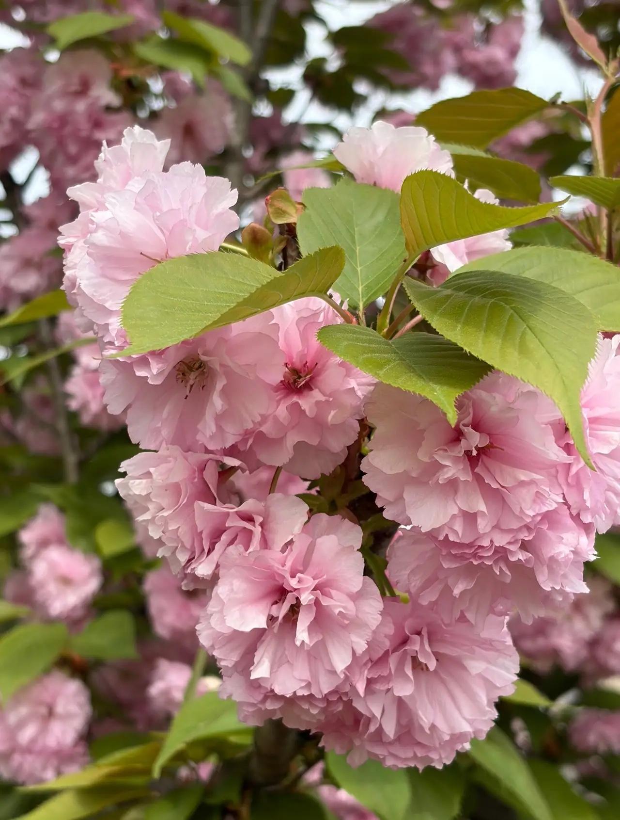 我发现一件特别现实的事。

好的婚姻，从来不是大富大贵，而是夫妻二人互相体谅。