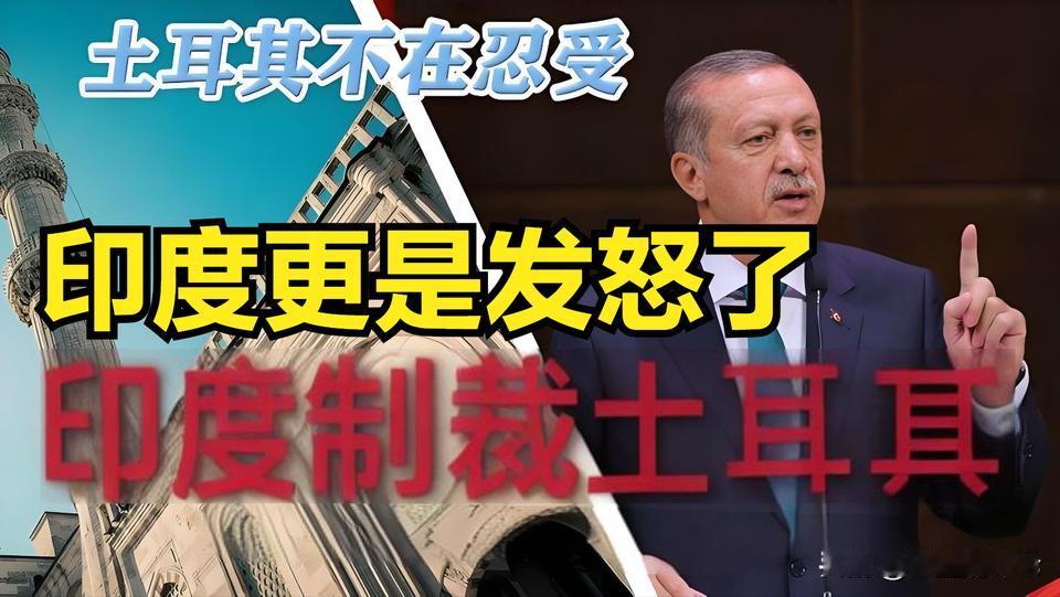 招惹三哥，印度怒火烧向土耳其


印度发动“朱砂行动”袭击巴基斯坦后，土耳其总统