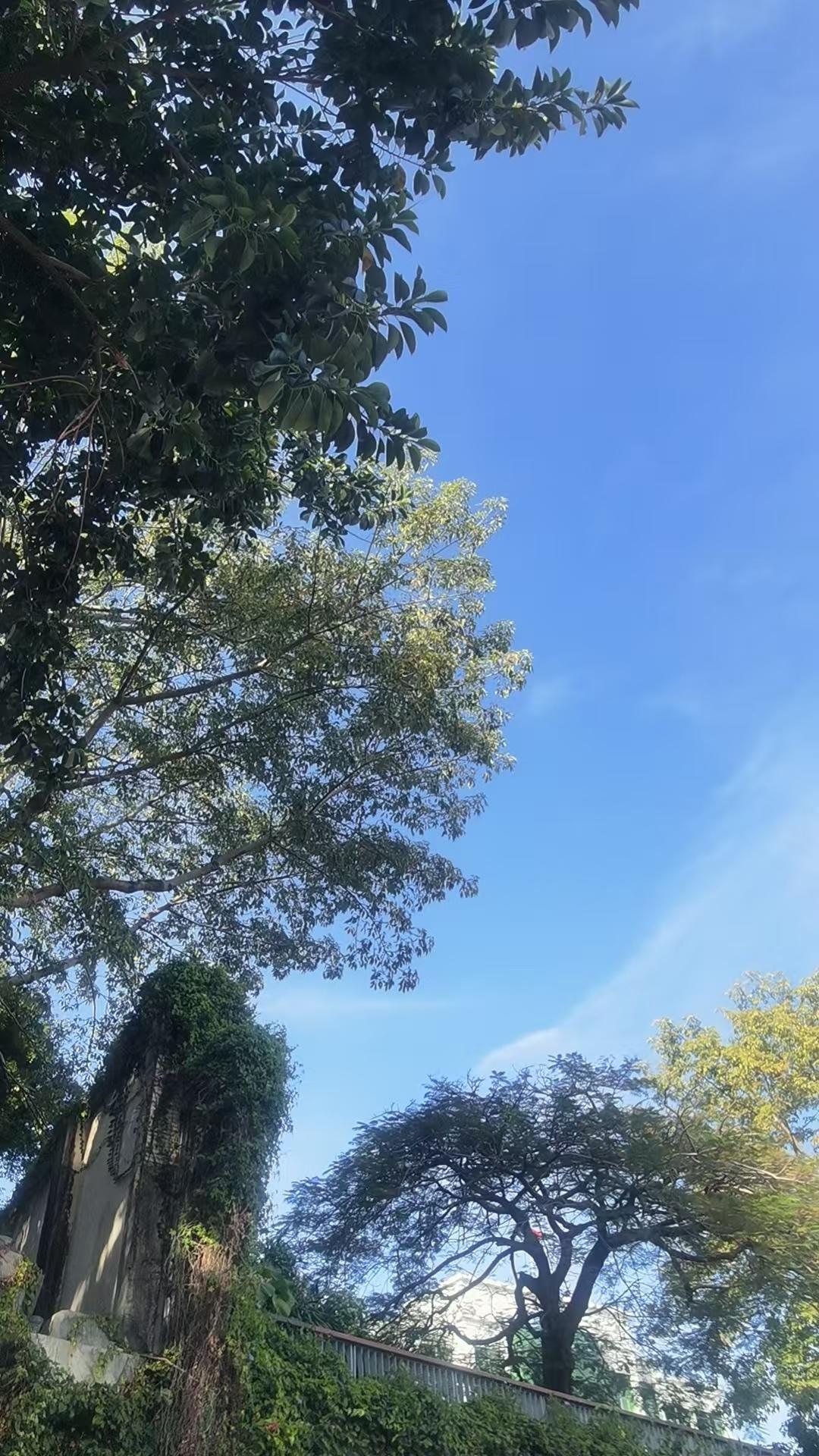 我们一生都在等父母说“对不起”，

而父母一生，都在等我们说“谢谢你”。

结果