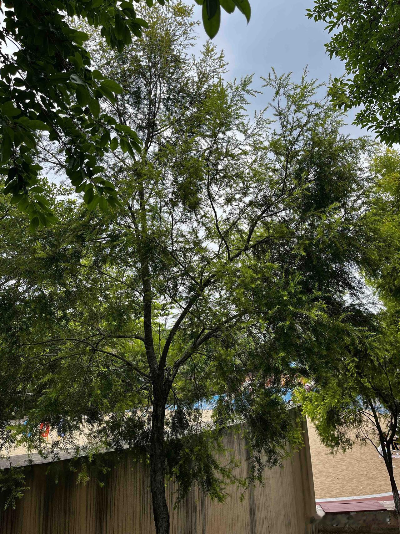 《资治通鉴》：一个让能量不外泄的方法，不要讨厌任何人

永远记住是任何人

先讲