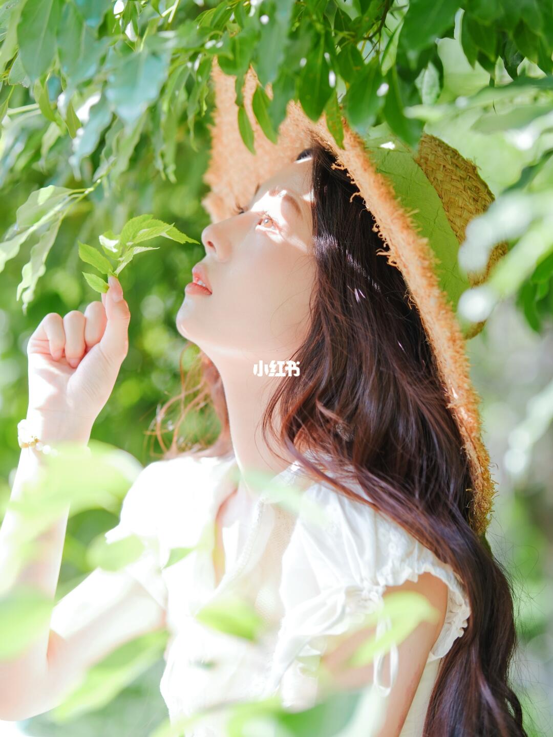 初夏的兰香气息🌿