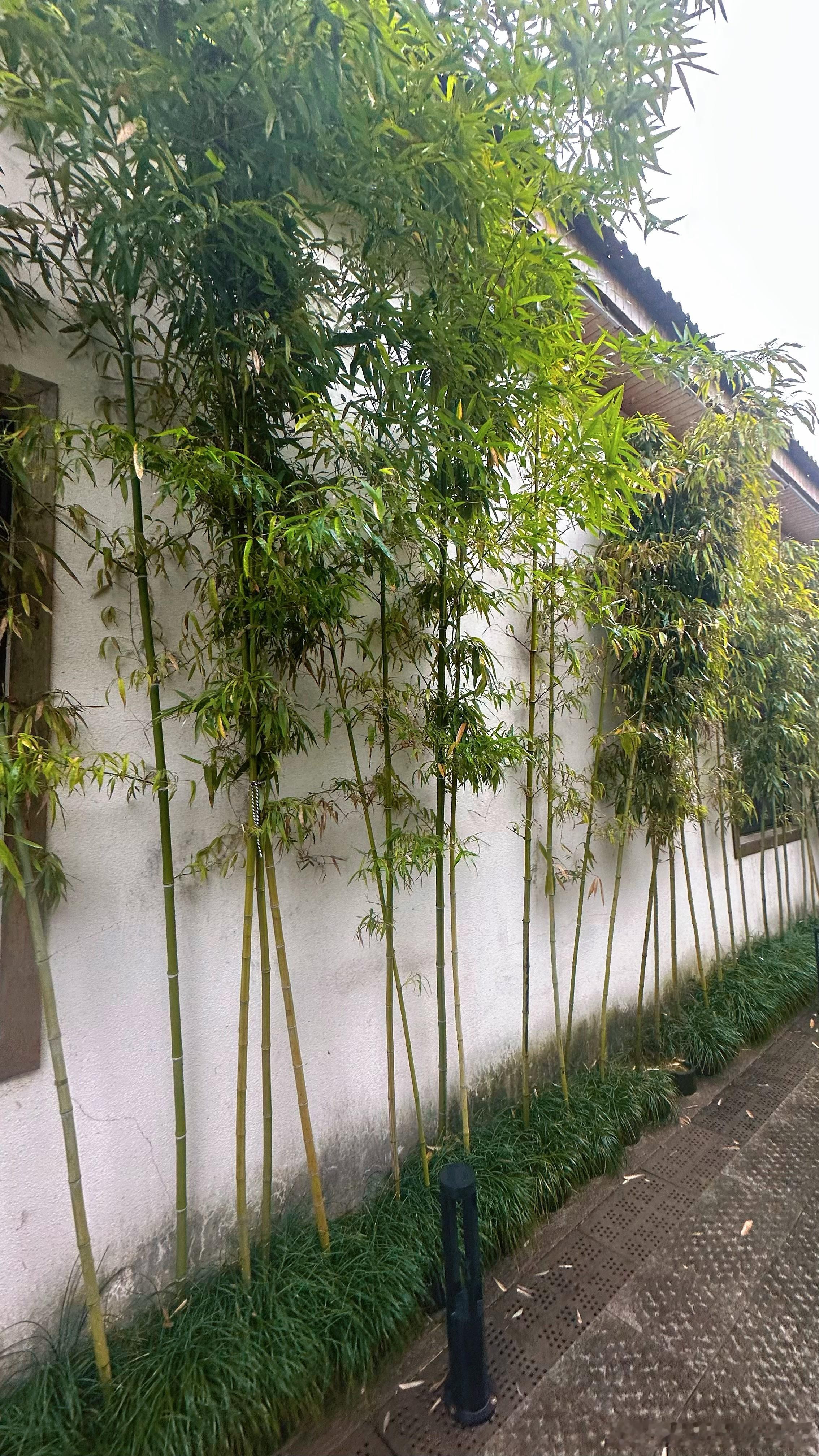 生活手记爱情从来不是一个人的独角戏，而是两个人的双向奔赴。它不是单方面的付出与讨