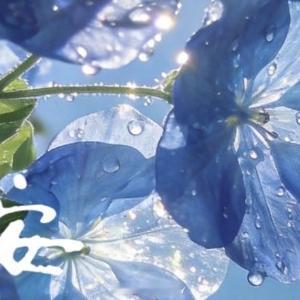 早安心语 🌻🌼MORNING🌿今天很棒，明天会更棒，把每一天都活成自己喜欢