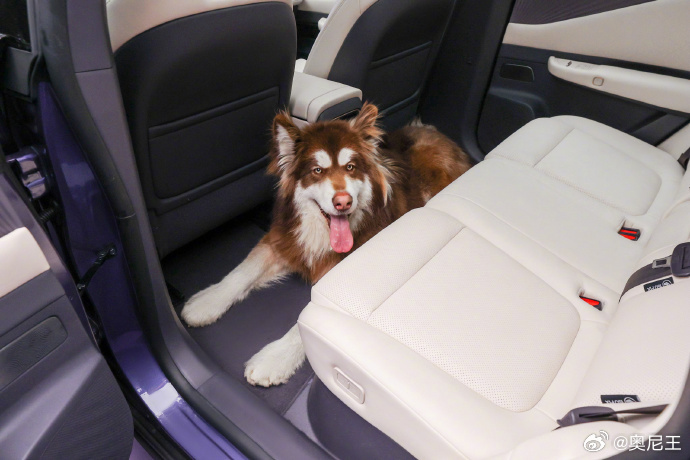 NX8顶流空间百试可乐东风日产NX8的静态品鉴会，我愿称之为“大空间行为艺术展演