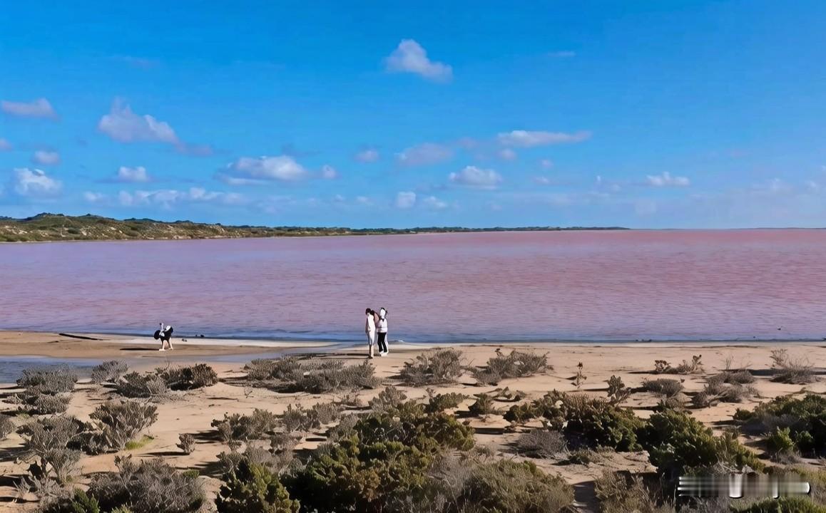 奔赴西澳的浪漫秘境，抵达赫特潟湖(粉红湖)畔时，天高云淡，轻风拂过湖面，漾开层层