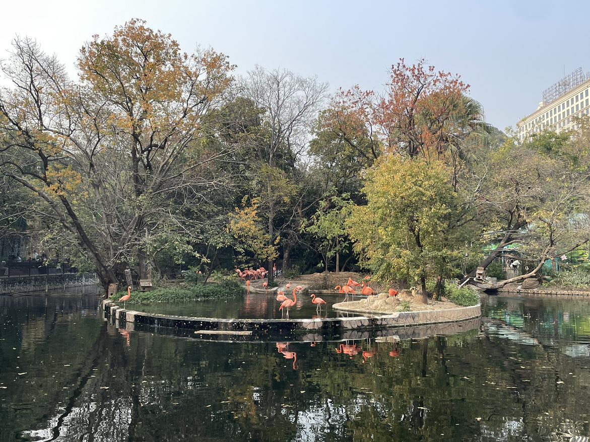 我的今日状态：😁轻松愉快
我这里的天气：☀️晴天