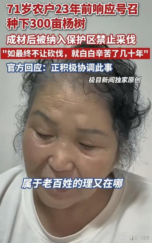 黑龙江齐齐哈尔，七旬大妈耗费大半辈子心血，种植了360亩、合计3万棵杨树，等到树