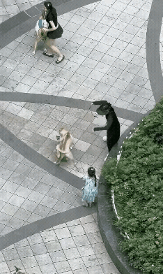 当今中国社会许多人被资本洗了脑，把猫狗吹成了宝，资本为了增长狗猫用品的销量拼命的