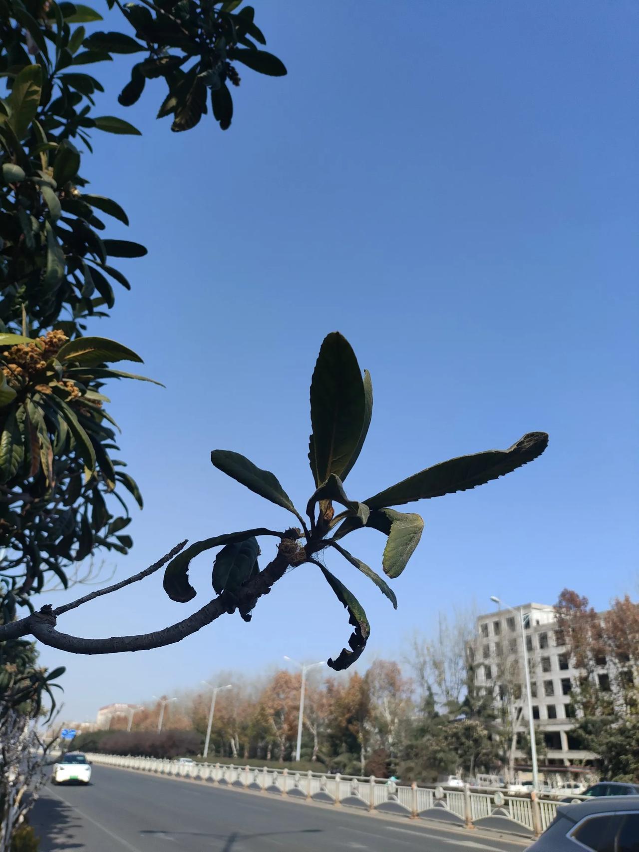 论文发表，考验的是需要评职称老师的  钞  能力
以前发表论文，人家给稿费，现在