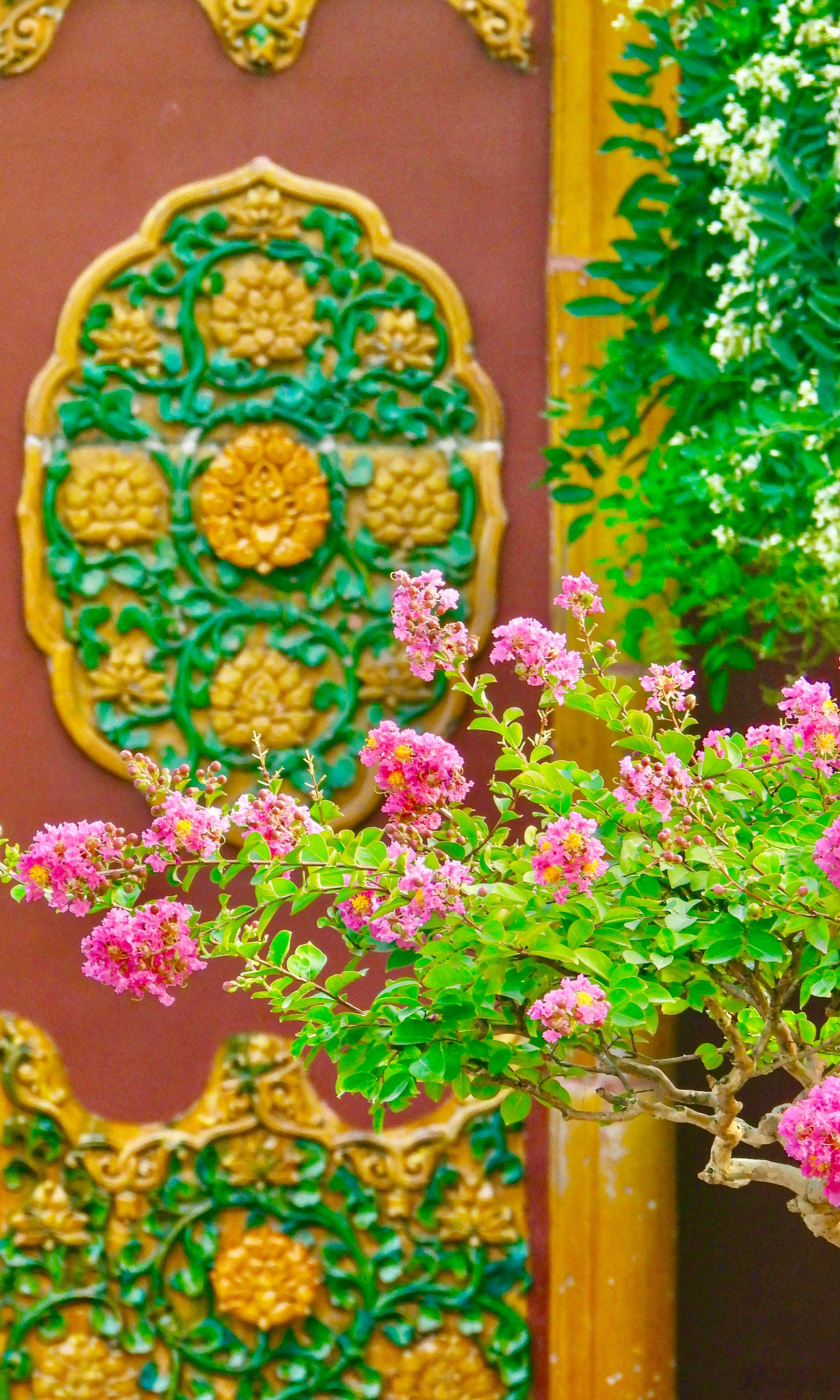 【北京景山公园  紫薇花开】赤艳因而唤紫葳，舞风饮露恣芳菲。（弘历）摄影​​​
