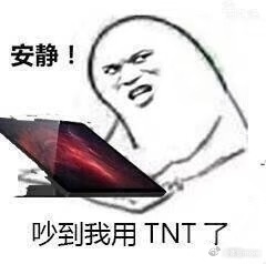假如我设计手机必加的功能现在手机算力这么强了，没有厂商接着做老罗的TNT么[笑c