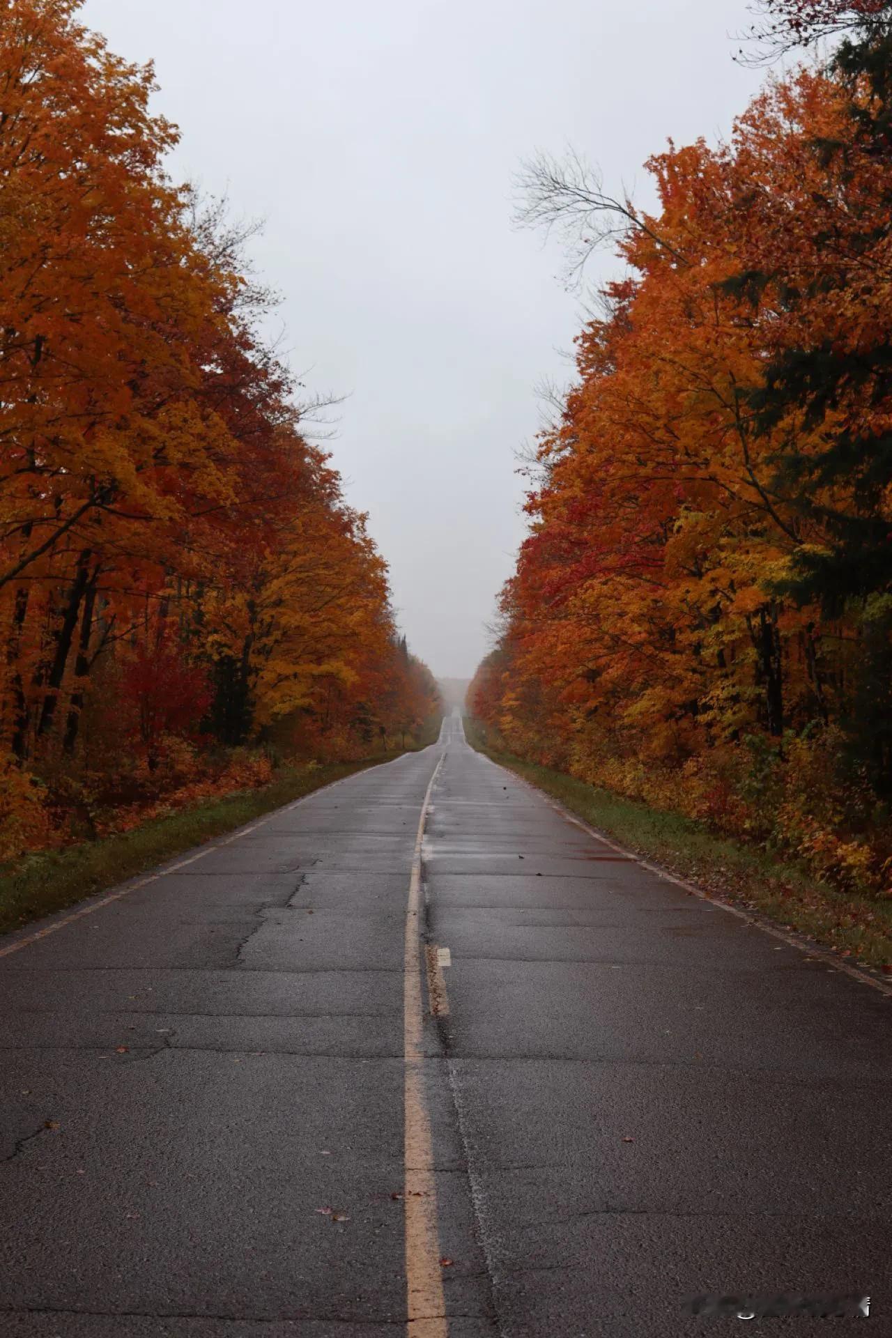 有些手术是不得不做

我舅舅家的二表妹，那年才二十多岁，突然出现一些不好的症状，