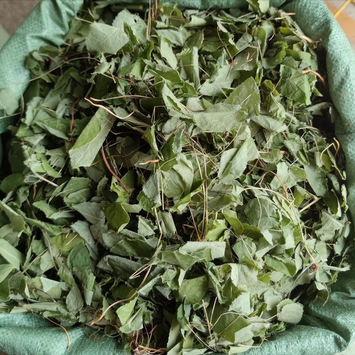 淫羊藿这味药，我用了几十年

有个老患者问我：陈大夫，您开的药里有淫羊藿，我查过