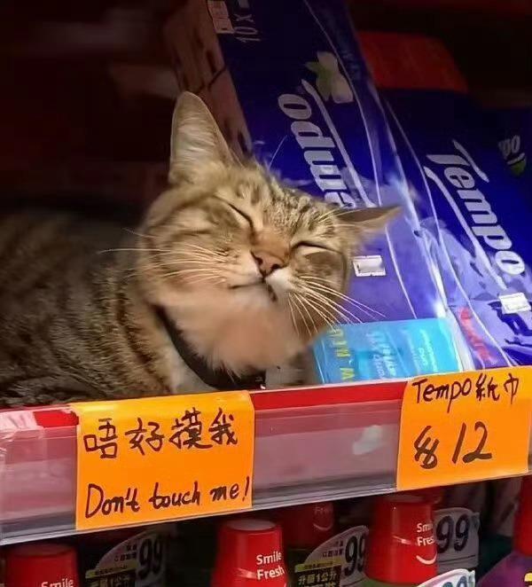 就摸 ​​​