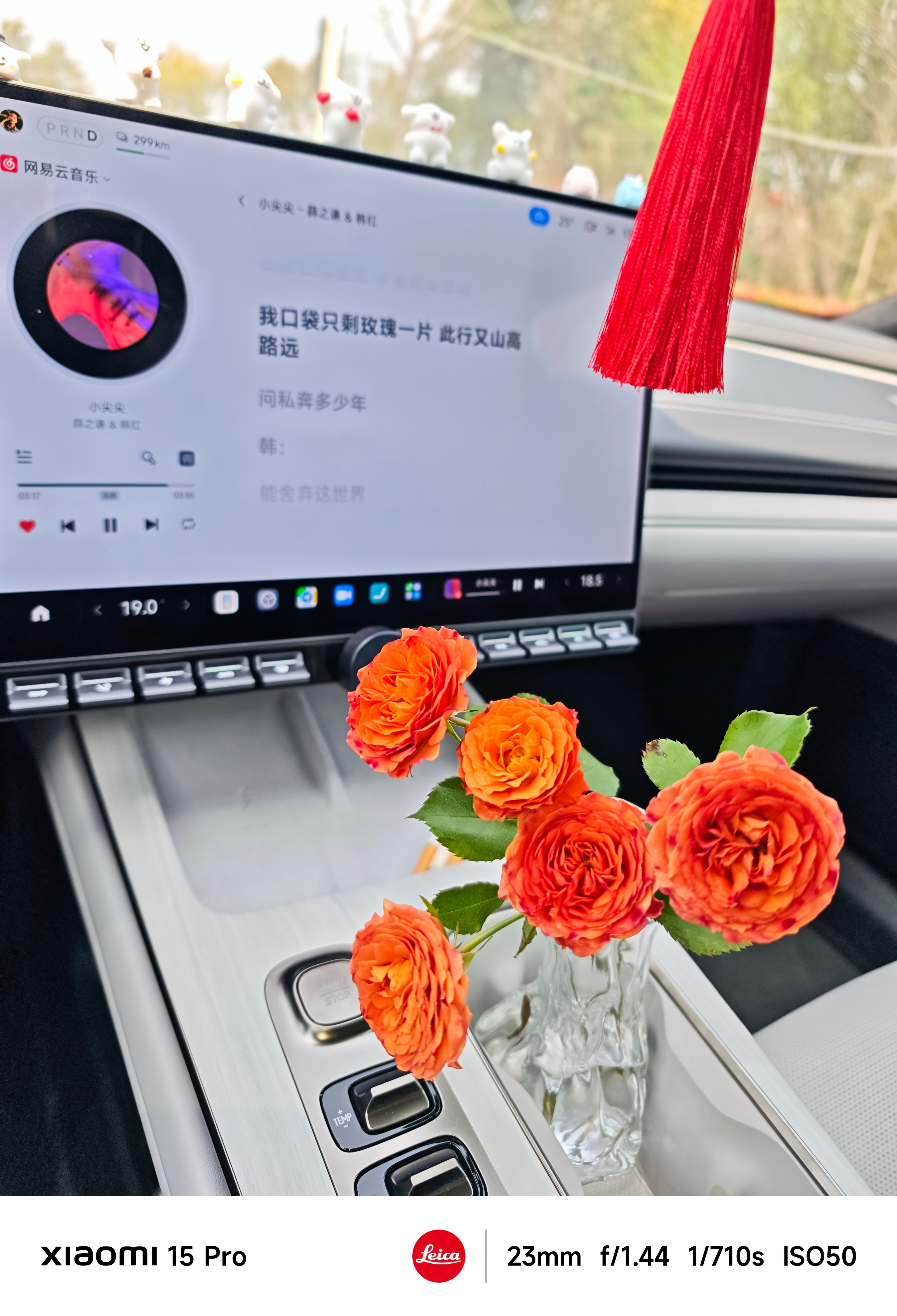 “我口袋只剩玫瑰一片，此行又山高路远”当你吃了一整天健康食物