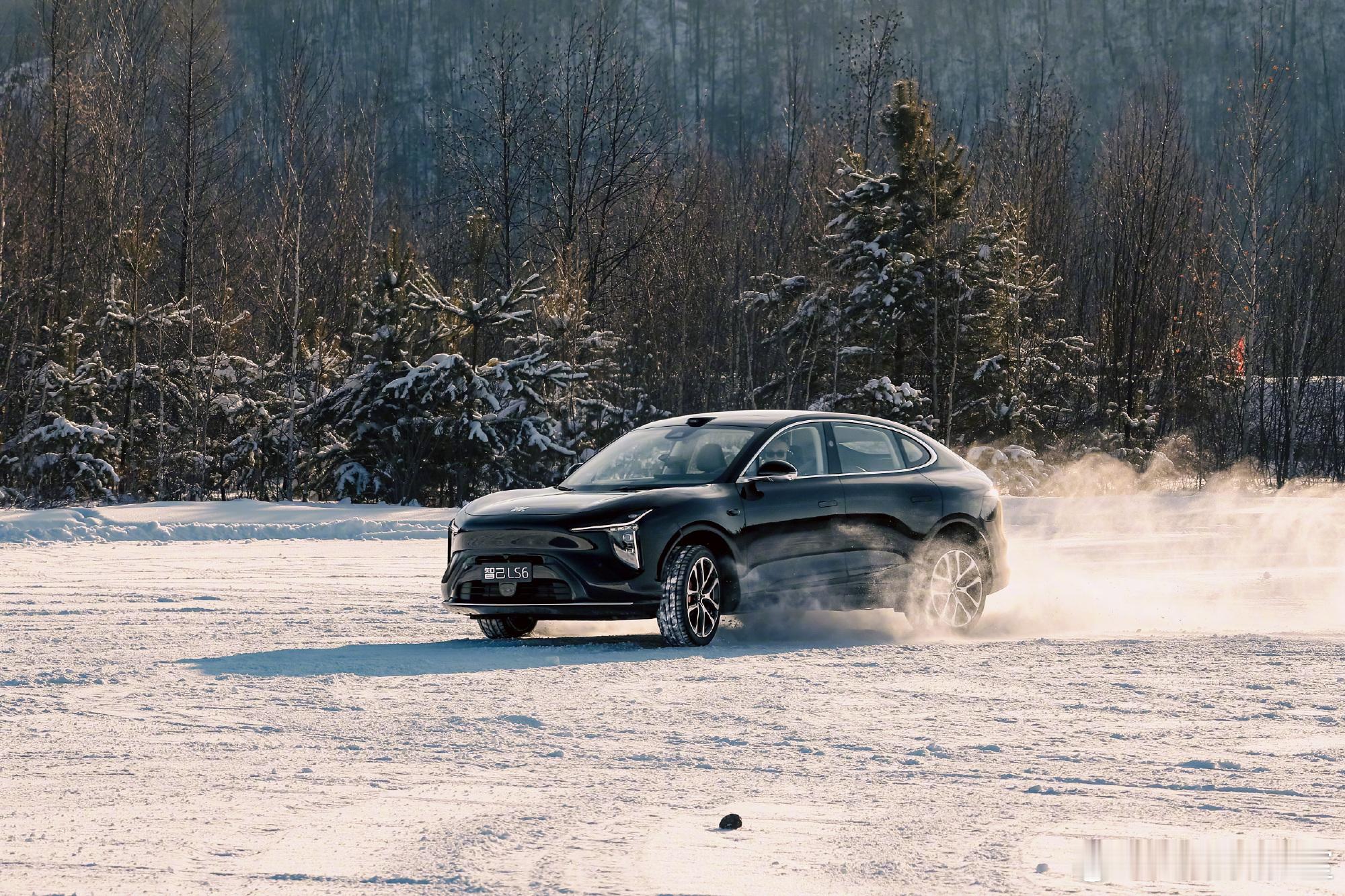 智己五周年实现单月盈利 连续四个月销量破万、12月提前宣布实现单月盈利，新一代L