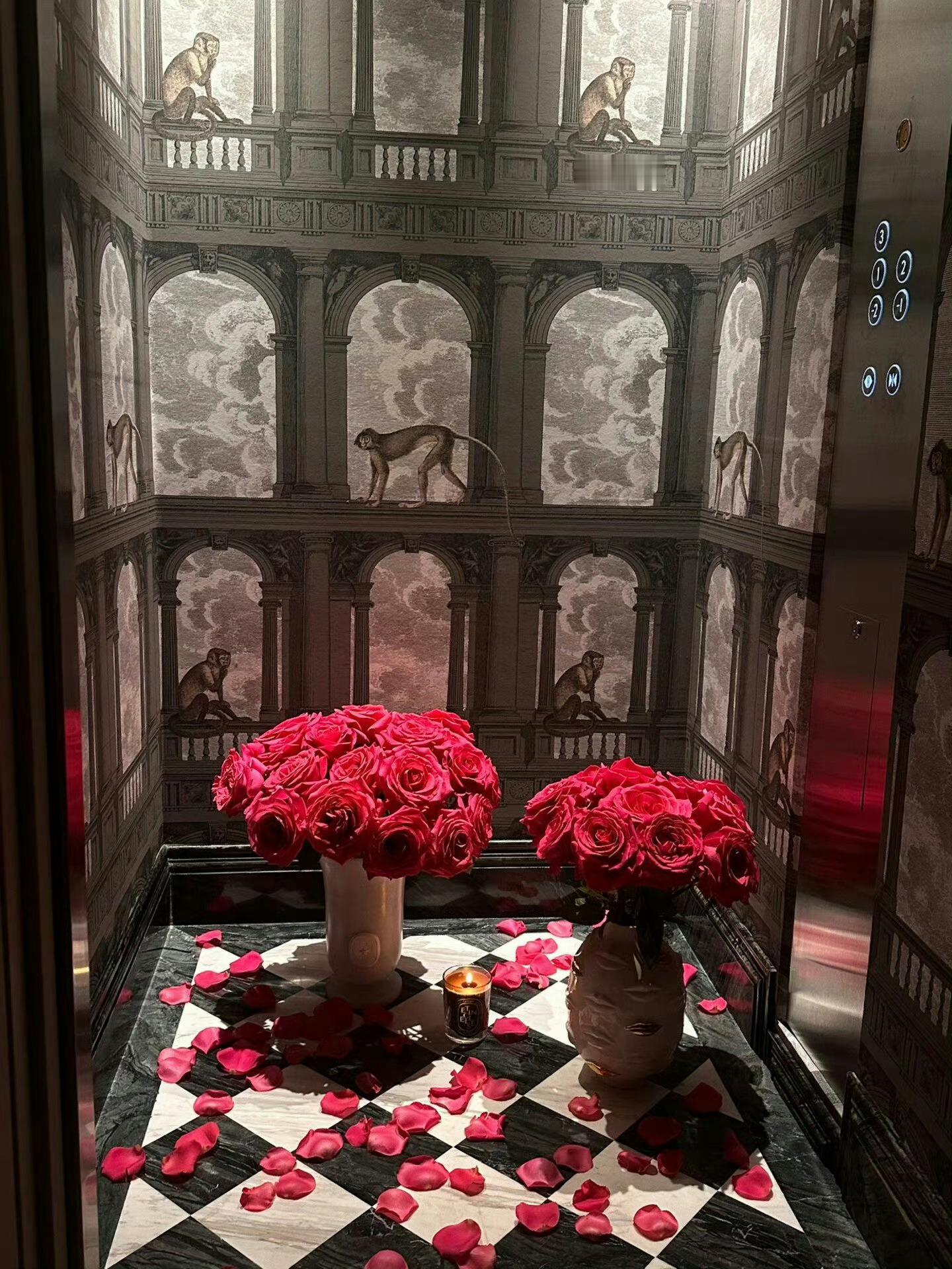 浪漫的弗洛伊德🌹 ​​​