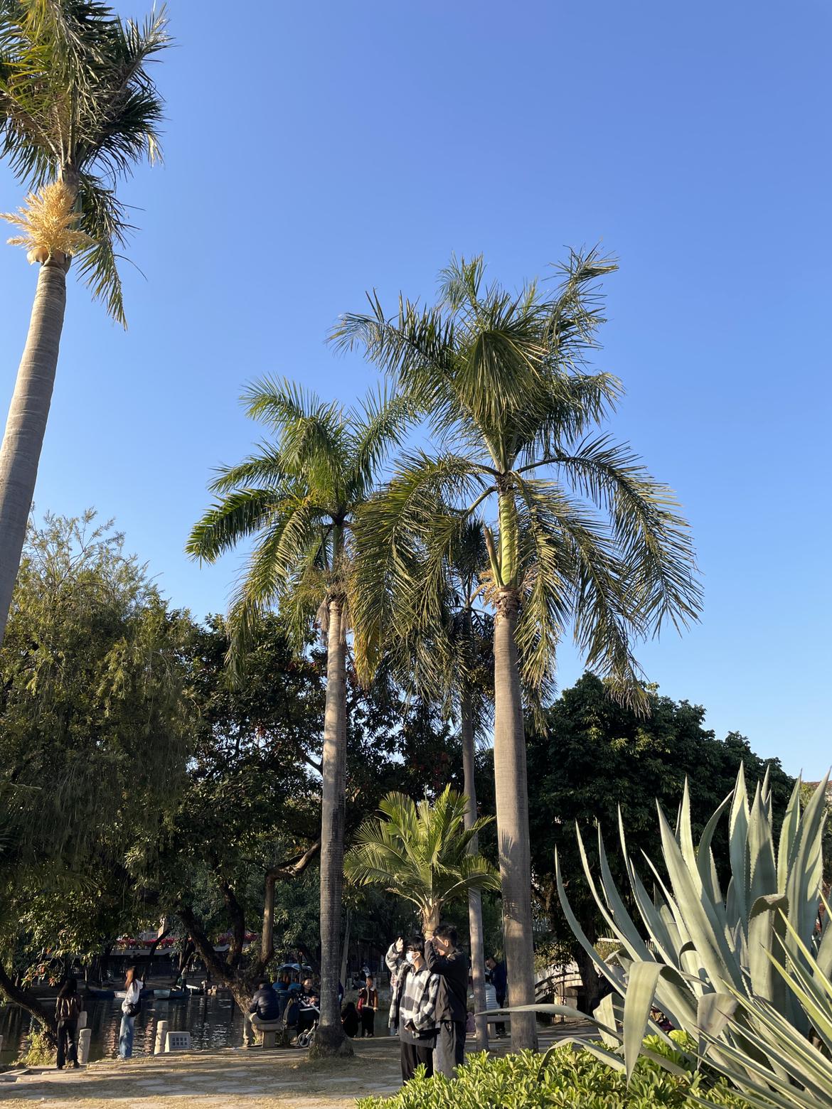 我的今日状态：😁轻松愉快
我这里的天气：🌤️多云