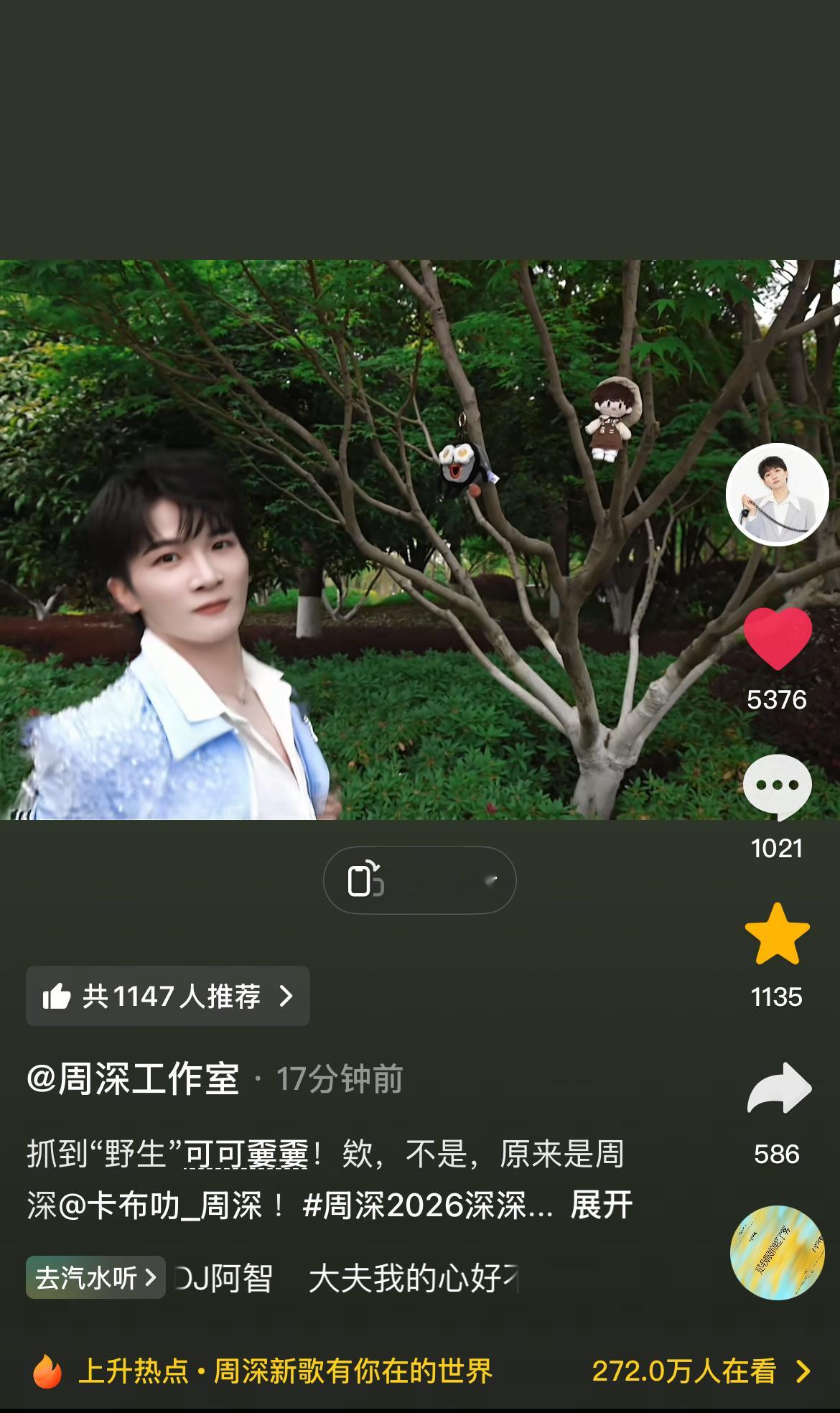 周深📣 4.14 柿子更新 📣【周深工作室】抖🫘 更新视频，米子们快来完整