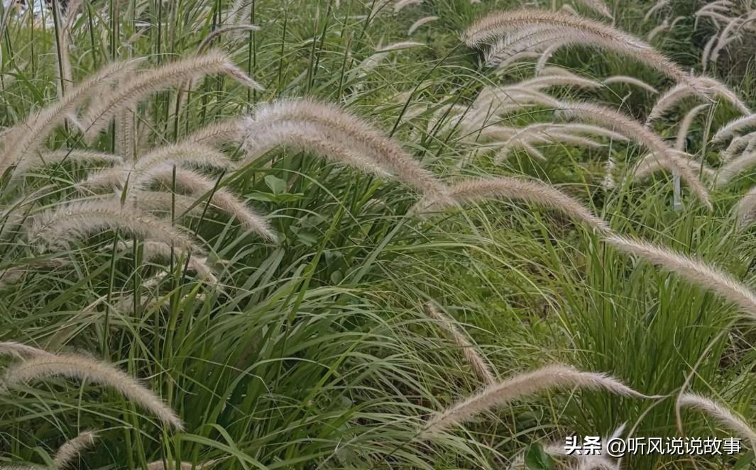 生活不会辜负每一个努力的人 ，记得健康、开心、平安，才是生活的主旋律 。祝你接下
