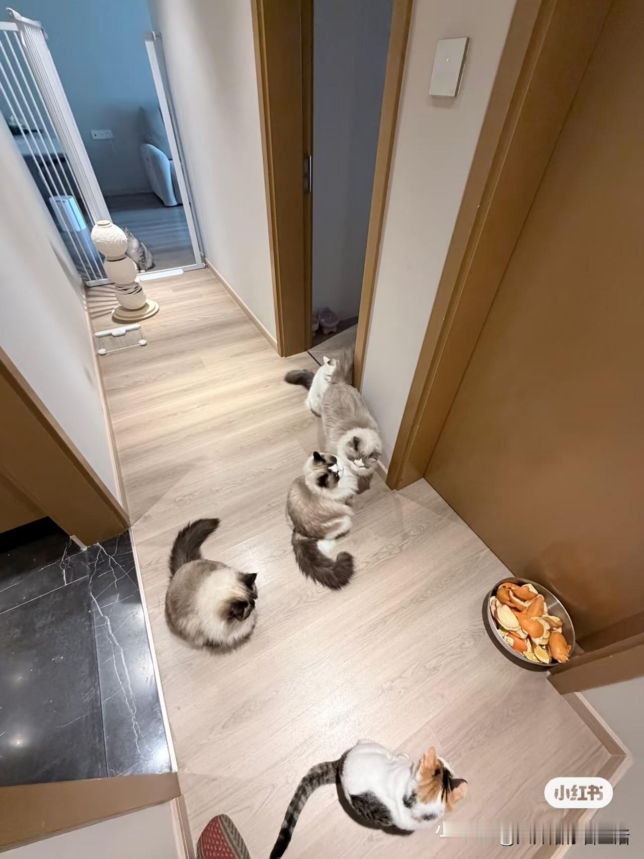 1. 最怕七大姑八大姨连环追问：工资多少、有没有对象、啥时候结婚生娃，躲都躲不掉