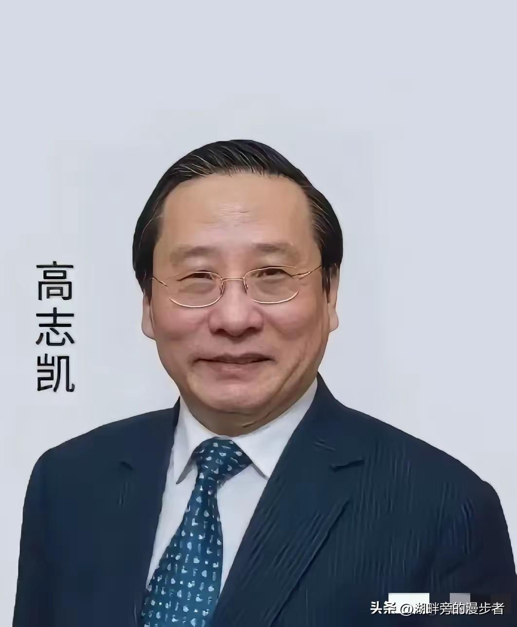 家人们，高志凯在外网跟西方硬刚的那段话，最近简直火出圈了！好多朋友都跟我说，听得