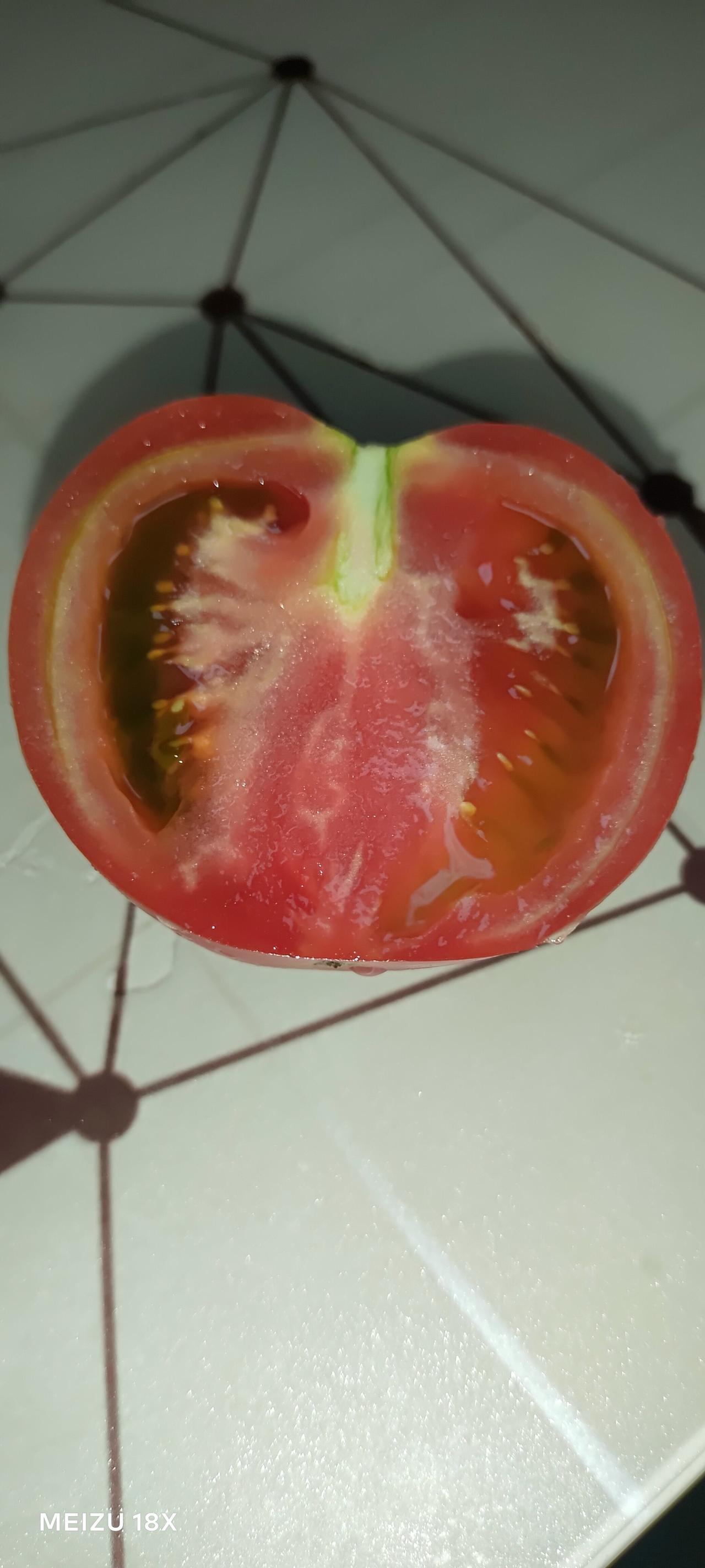 还是自己种的西红柿好吃，果实饱满，里面没有空腔，胶质满满，吃着酸酸甜甜的。

市