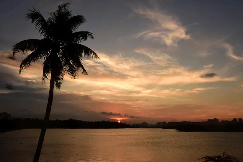 海滩
彩霞绚烂映海天，
欧舞碧波风景添。
花枝摇曳沐夕阳，
游人踏沙笑语欢。