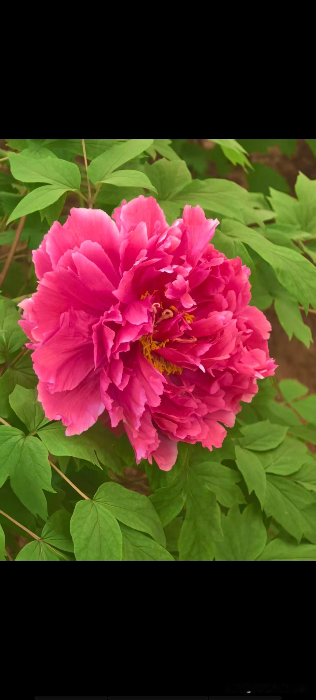 2026年，钱越来越难挣了
奉劝大家一定要看完这10条
​1:不乱买衣服裤子，一