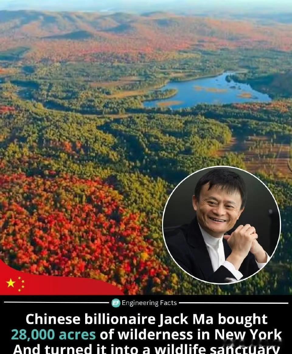 马云近况:在纽约州买进了800亩森林，宣布将打造成私人野生动物保护区 ​