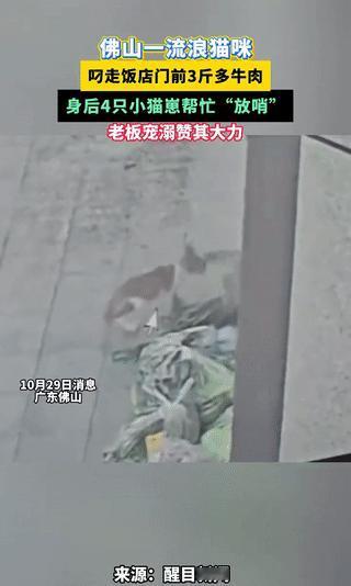 2025年10月29日早上六点多，广东佛山一家饭店门口发生怪事。老板刚买的三斤多