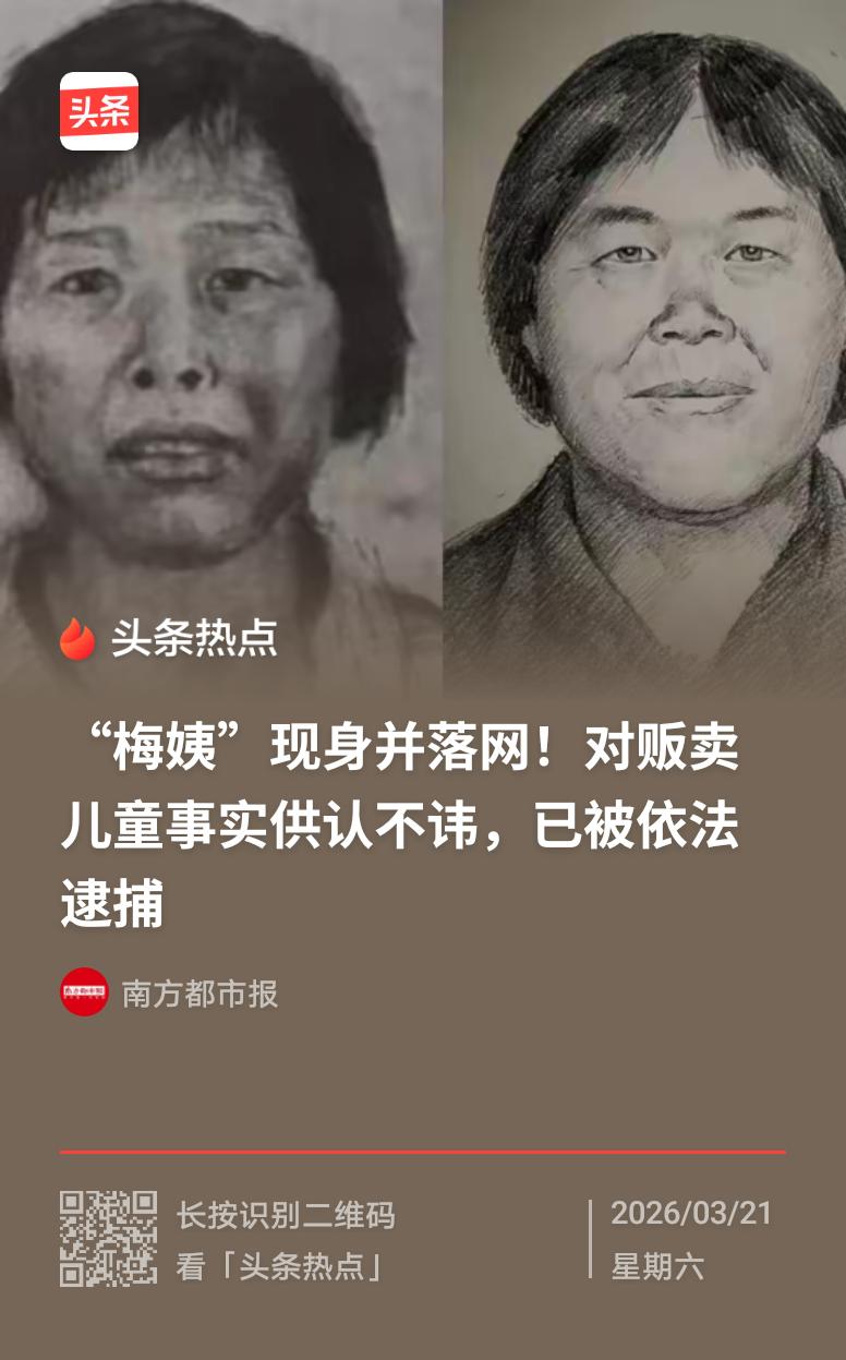 “梅姨”落网了！作恶者终难逃法律的制裁，在多起贩卖儿童的案件中起到关键作用，被人