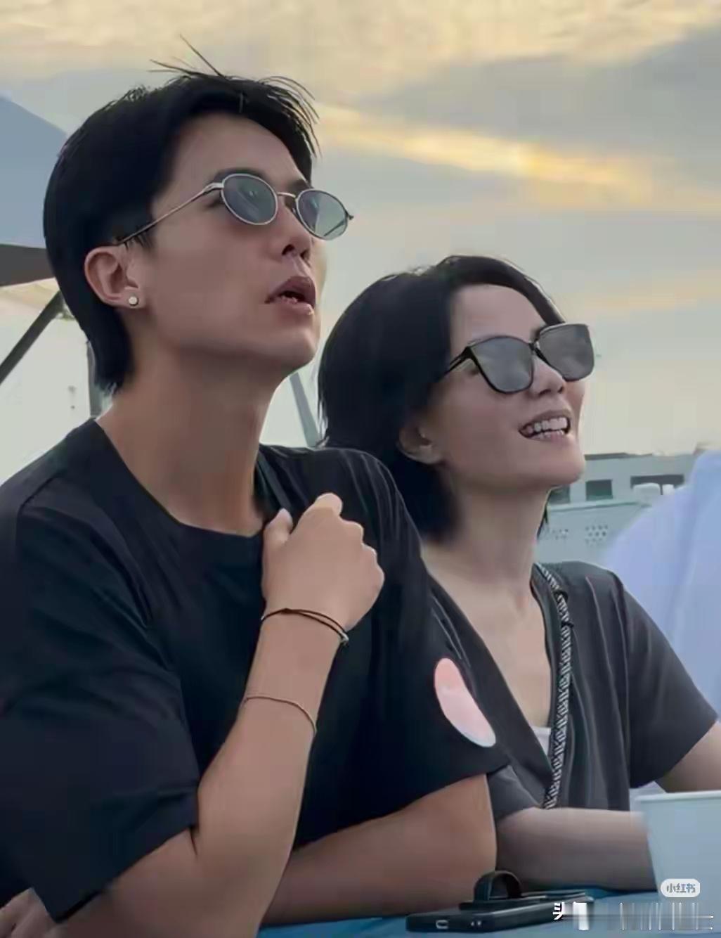 王菲身边那个“不上班”的男人，终于有人把这事说透了 ​​​