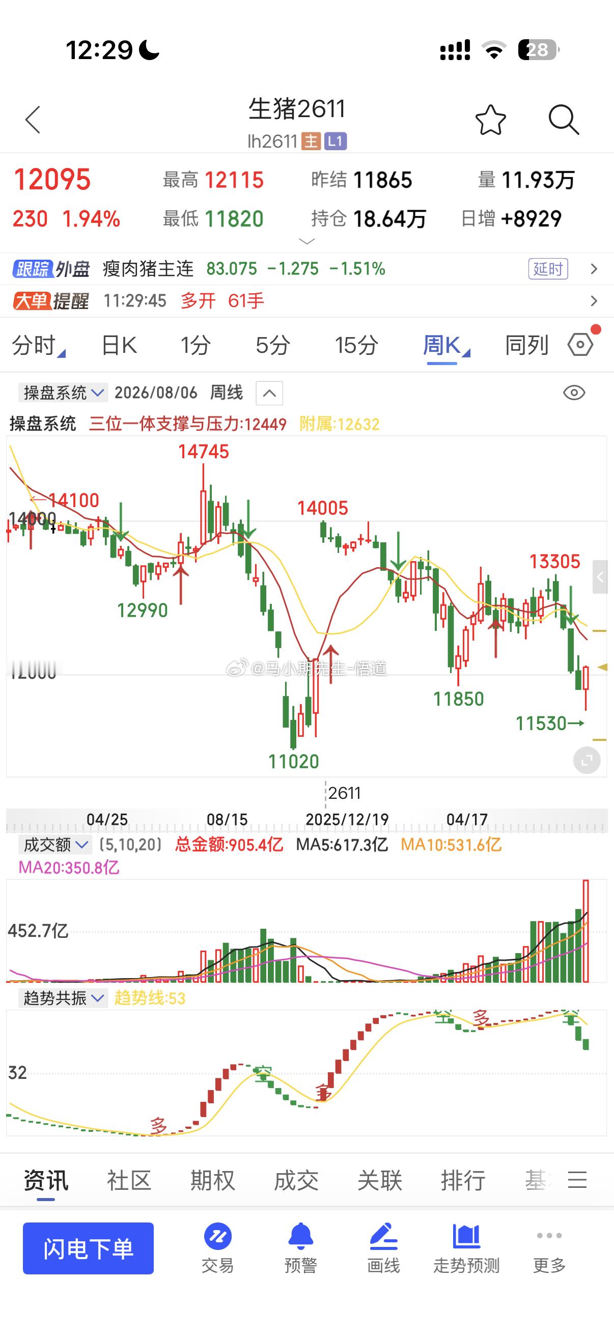 生猪如何看？上方都是400点？09合约现在是11195，该看112611合约要奔