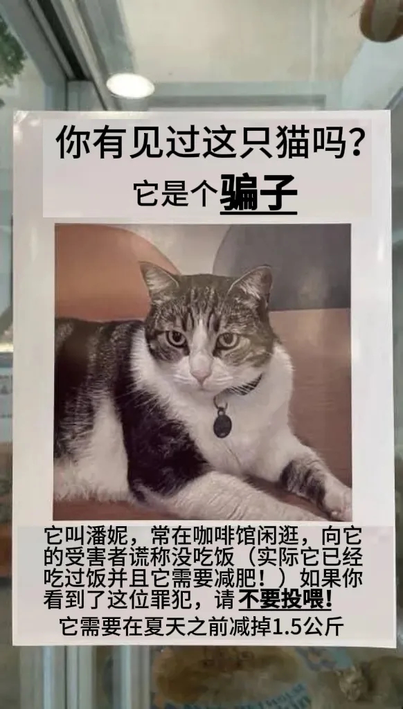 大家别上当 ​​​