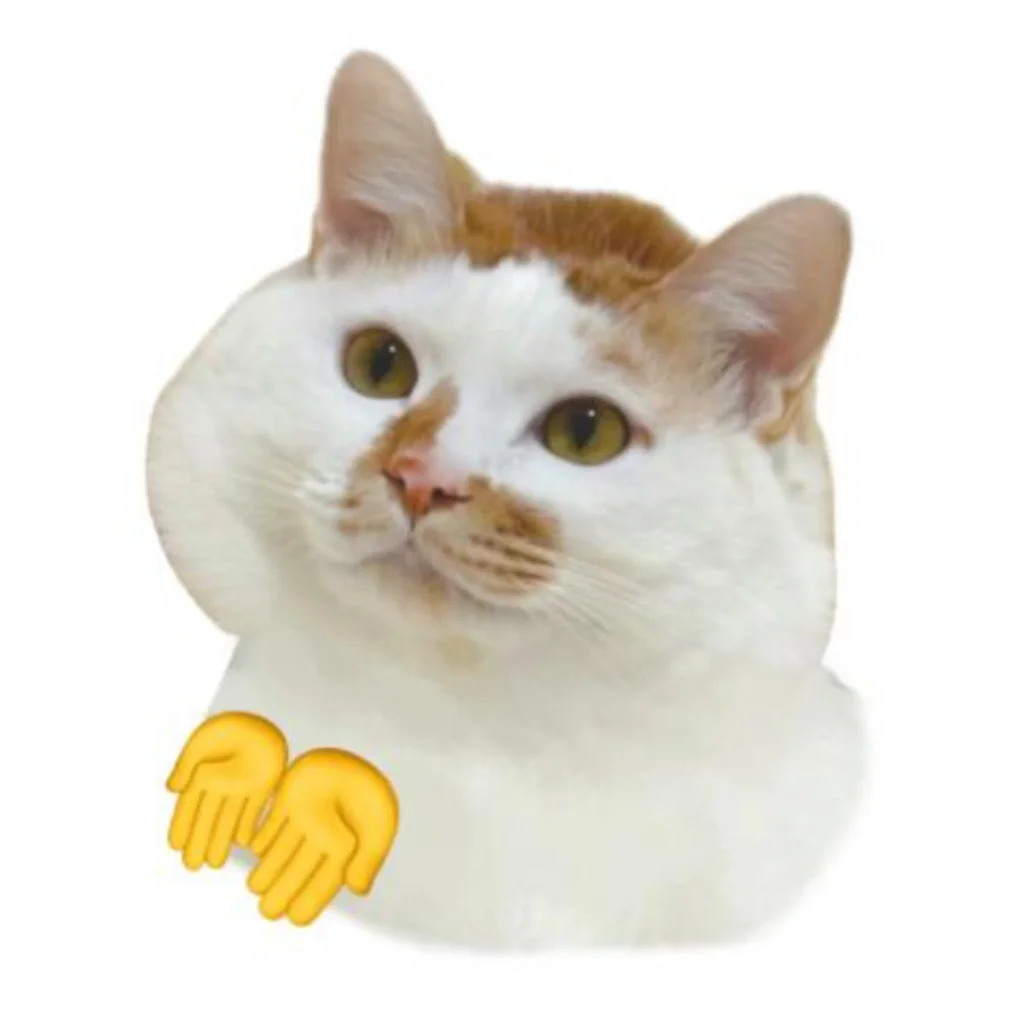 马上到上海了！！！巨巨巨听劝！！！！！