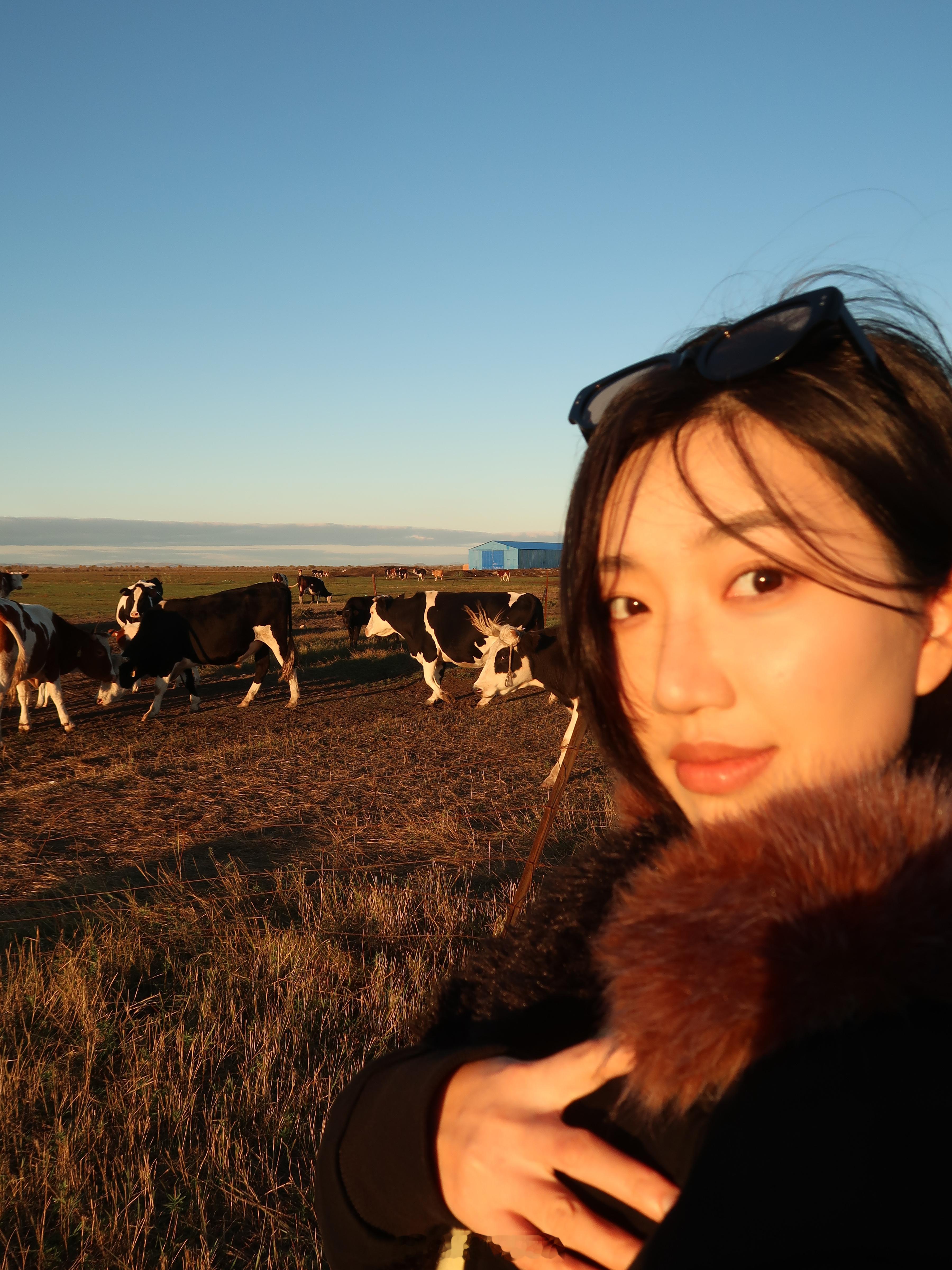 「额尔古纳的野孩子」没有计划一个人突然跑去了呼伦贝尔每天都想感谢这片大草原又救了