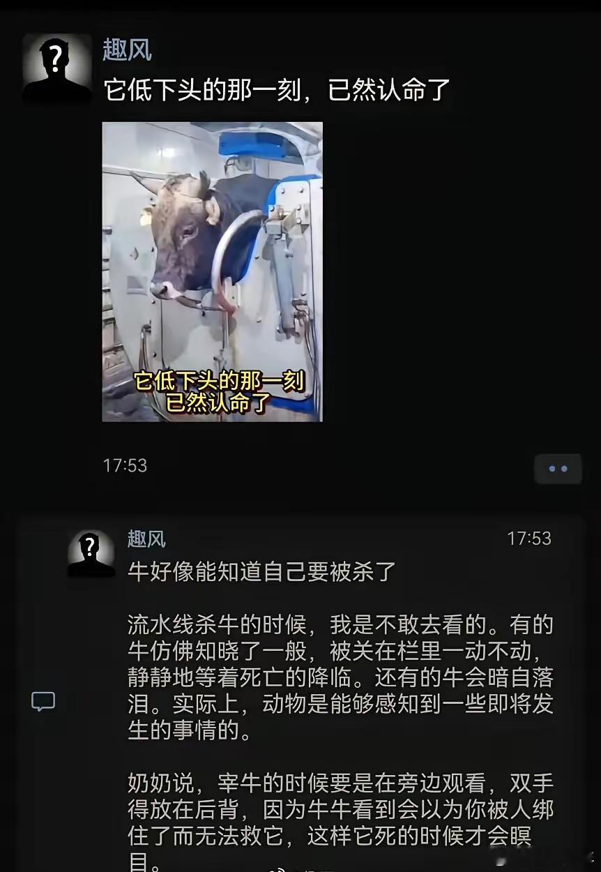 它低下头的那一刻，已然认命了  