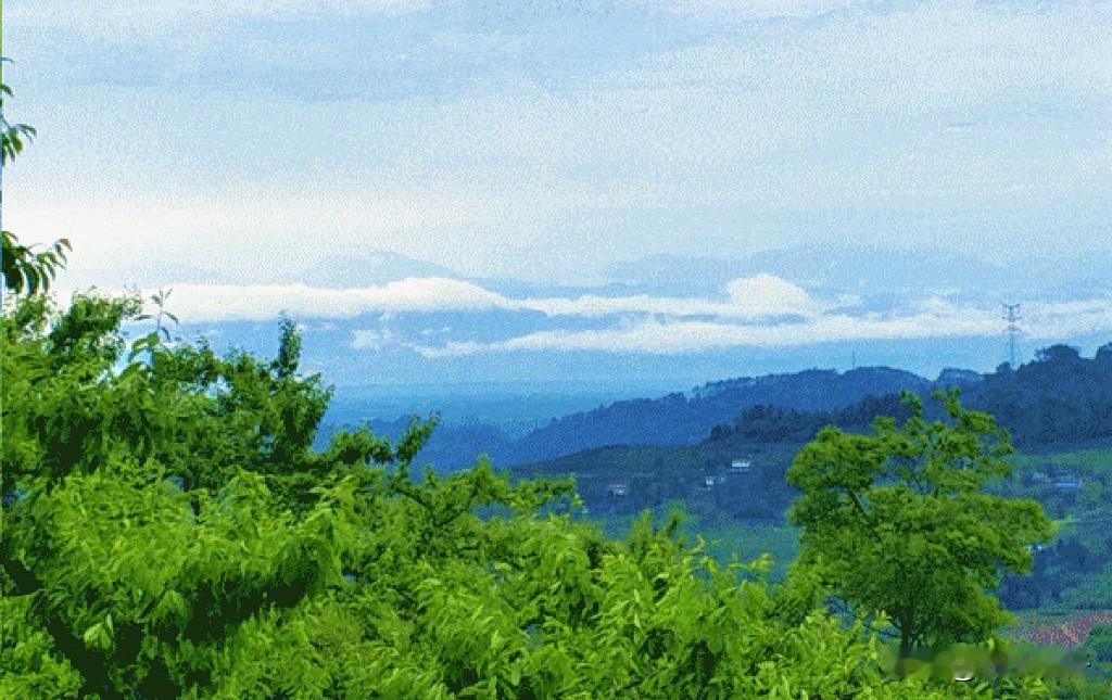 眉山这个村，专出双胞胎？33对，真有这么巧？

在眉山丹棱的顺龙乡，藏着一个有点